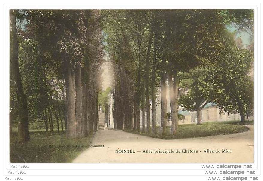 95 NOINTEL - ALLEE PRINCIPALE DU CHATEAU ALLEE DE MIDI - Nointel