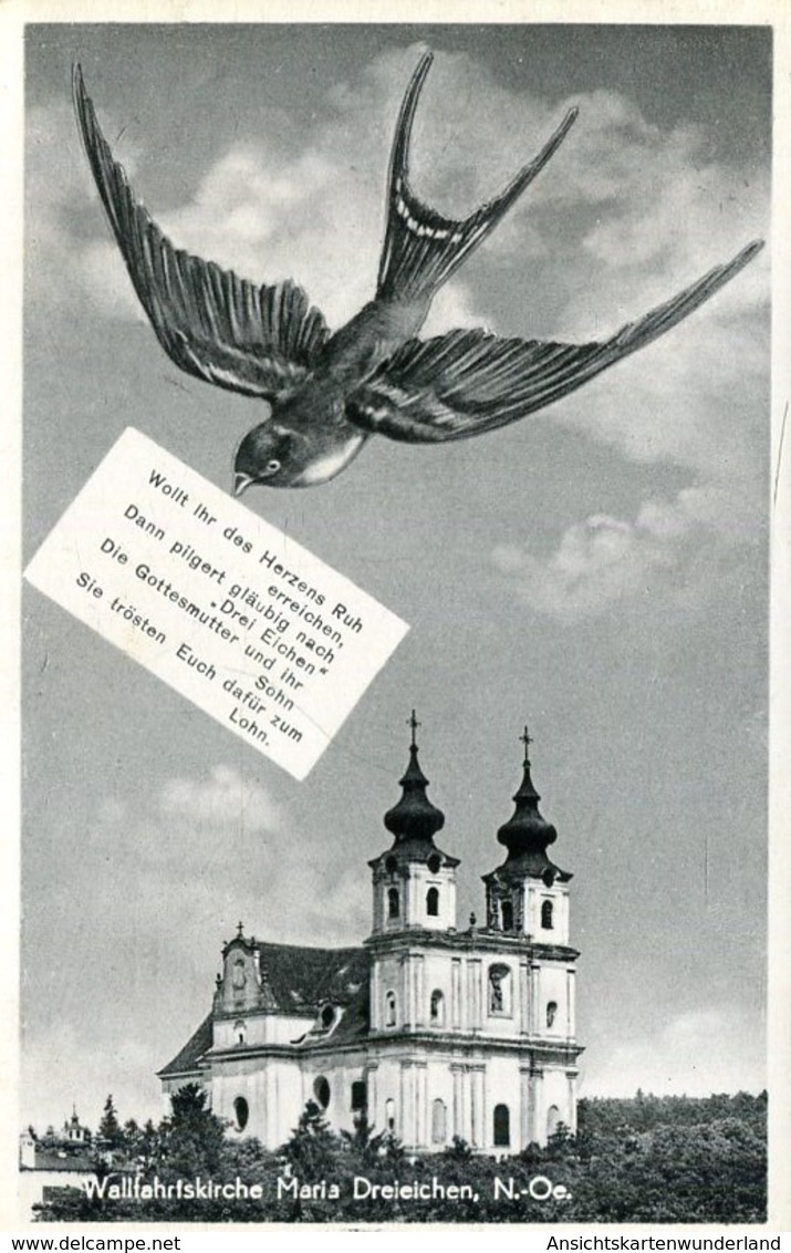 005462  Wallfahrtskirche Maria Dreieichen  1957 - Rosenburg