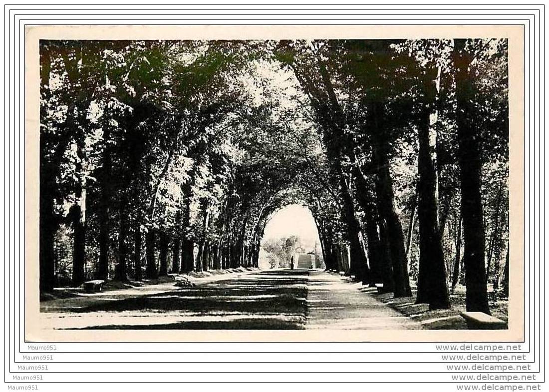 92 PARC DE SCEAUX  - VOIR SCAN POUR DESCRIPTION BELLE PHOTO - Sceaux