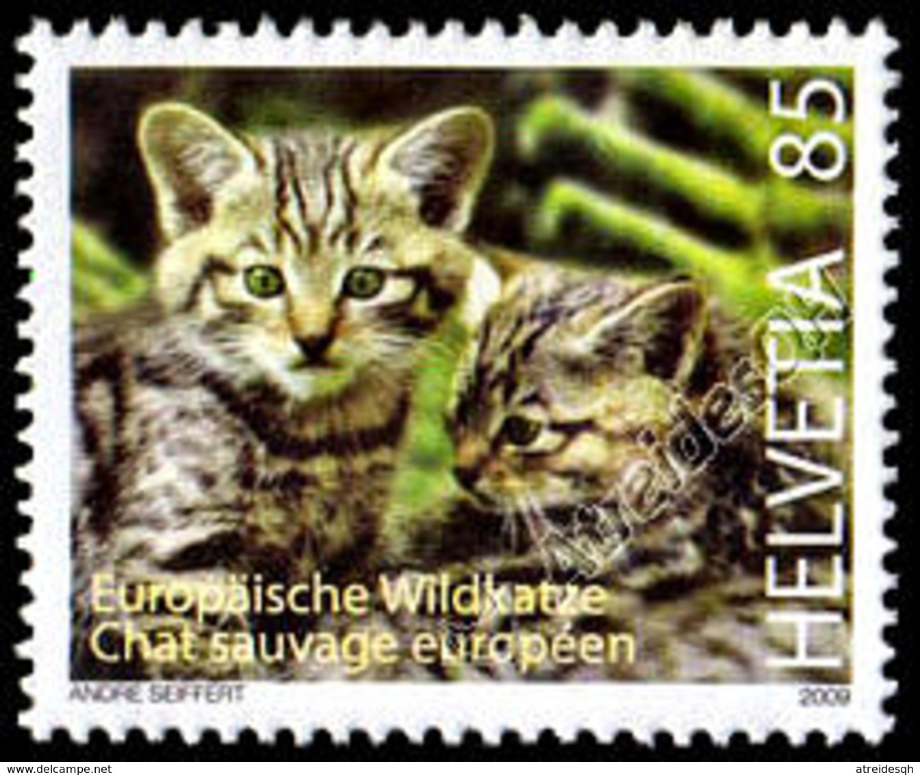 Svizzera / Switzerland 2009: Gatto Selvatico / Wildcat ** - Félins