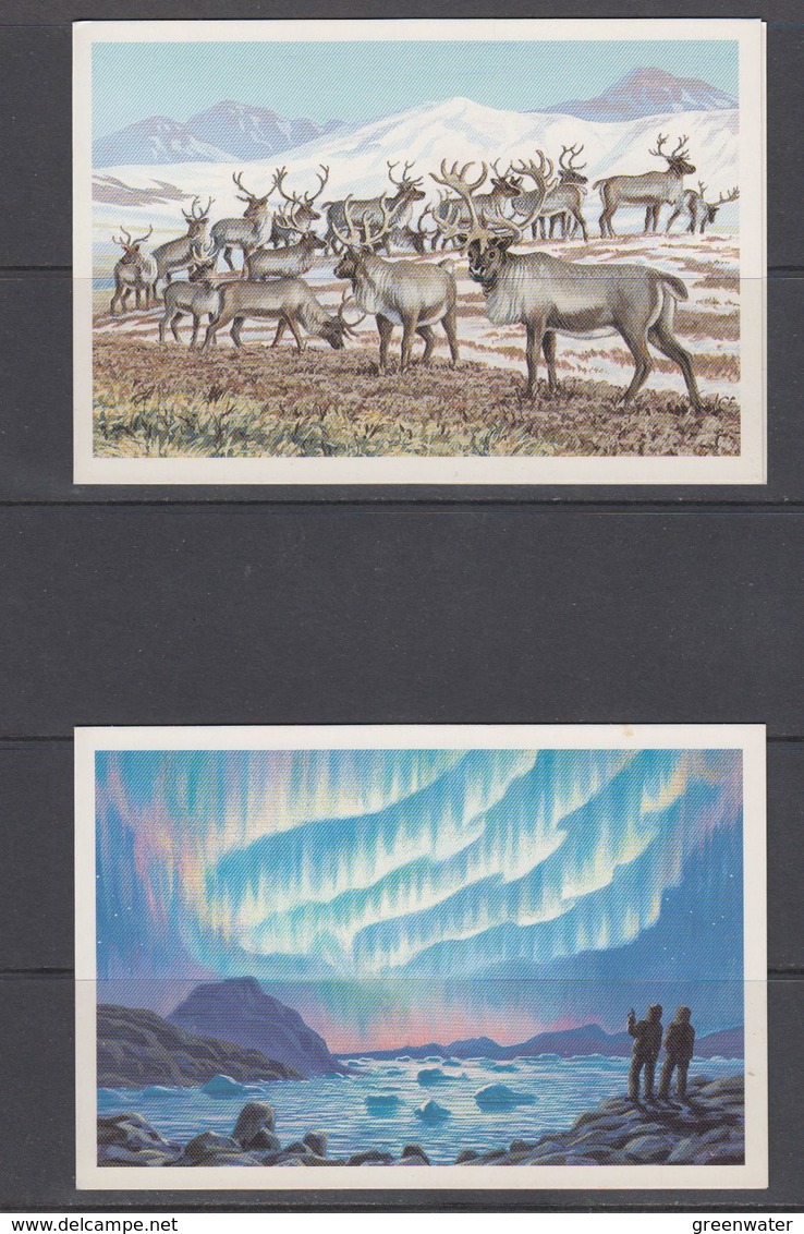 Greenland 6 Charity Cards (40694) - Groenlandia