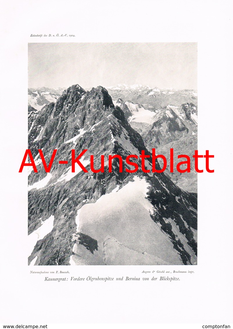 337-2 Kaunergrat Vordere Ölgrubenspitze Kunstblatt 1904!! - Altri & Non Classificati