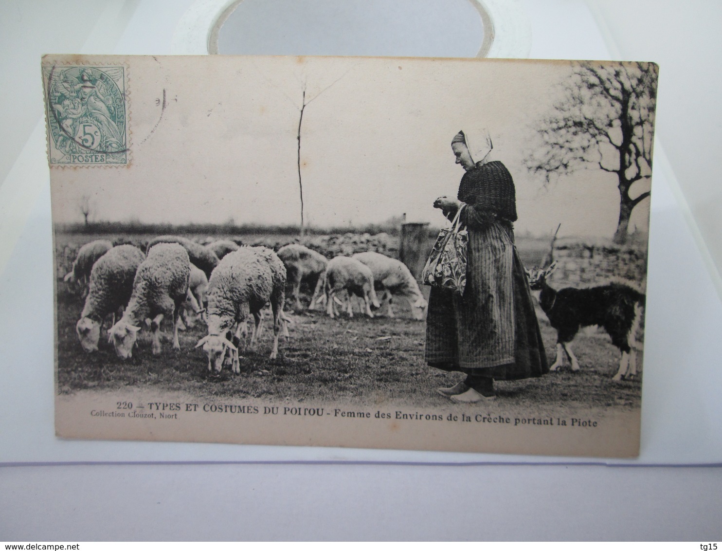 C P A   COSTUMES DU POITOU  1906   14X9 - Poitou-Charentes