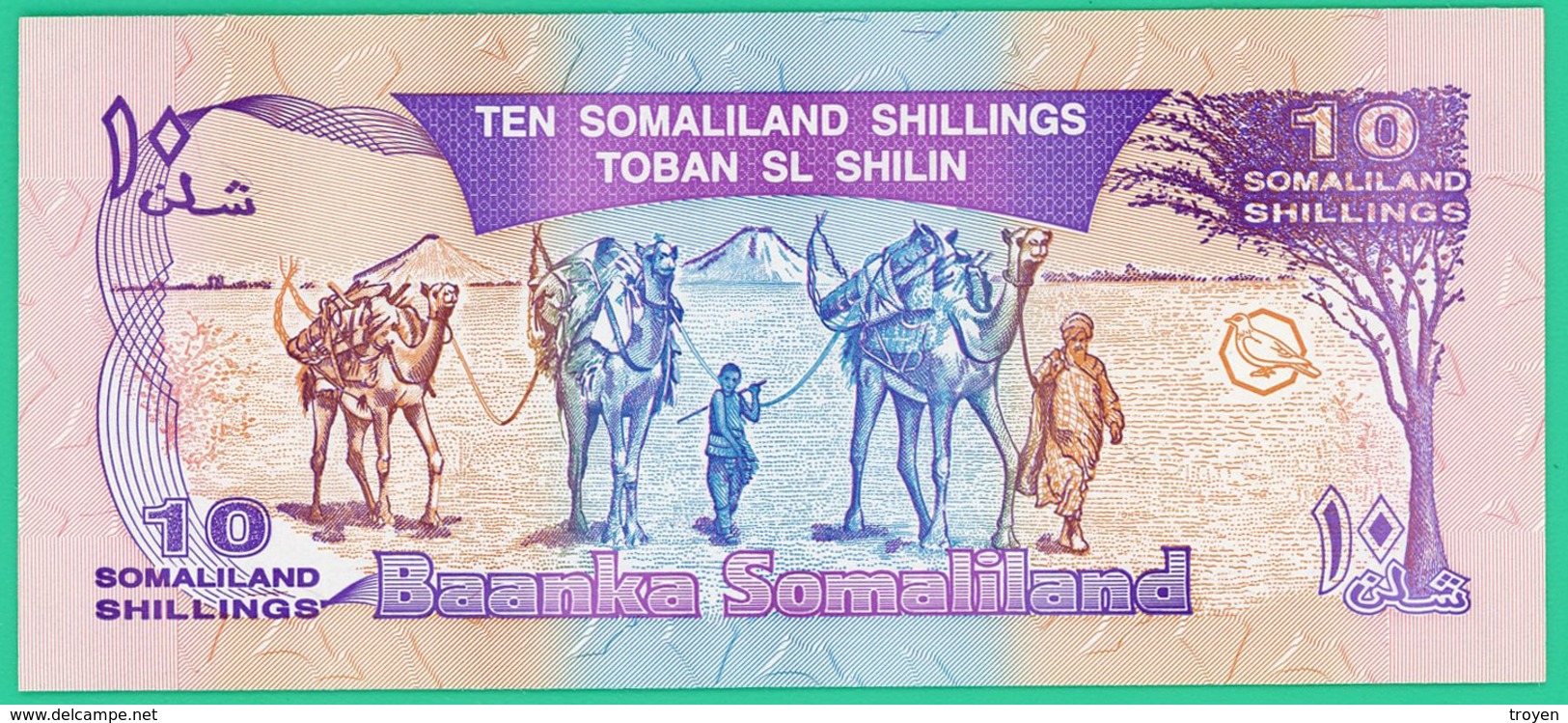 10 Shillings - Somalie    -  -  Neuf - - Somalie