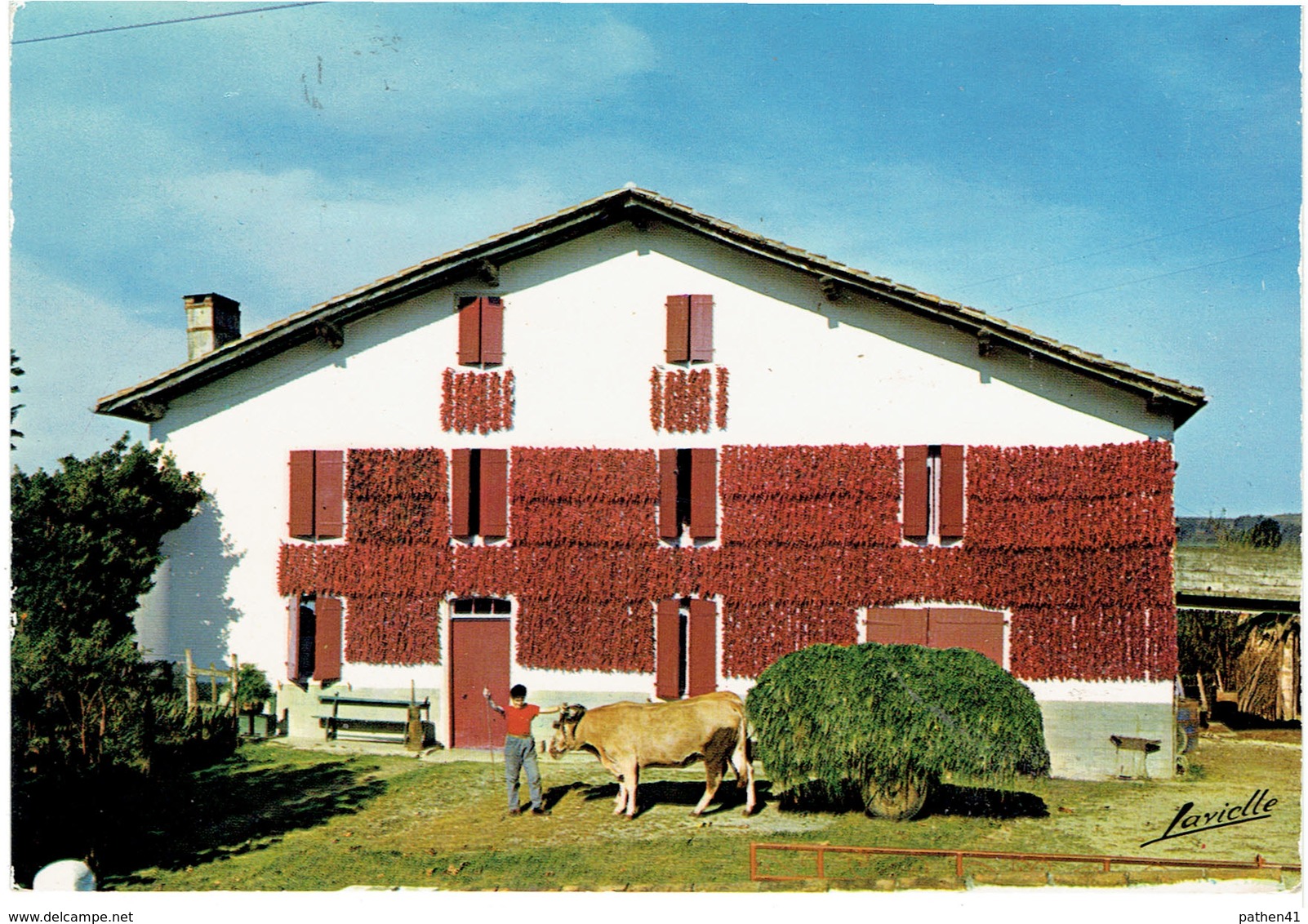 CPM FRANCE 64 PYRENEES-ATLANTIQUES ESPELETTE - Séchage Des Piments Dans Une Ferme Basque - 1978 - Espelette