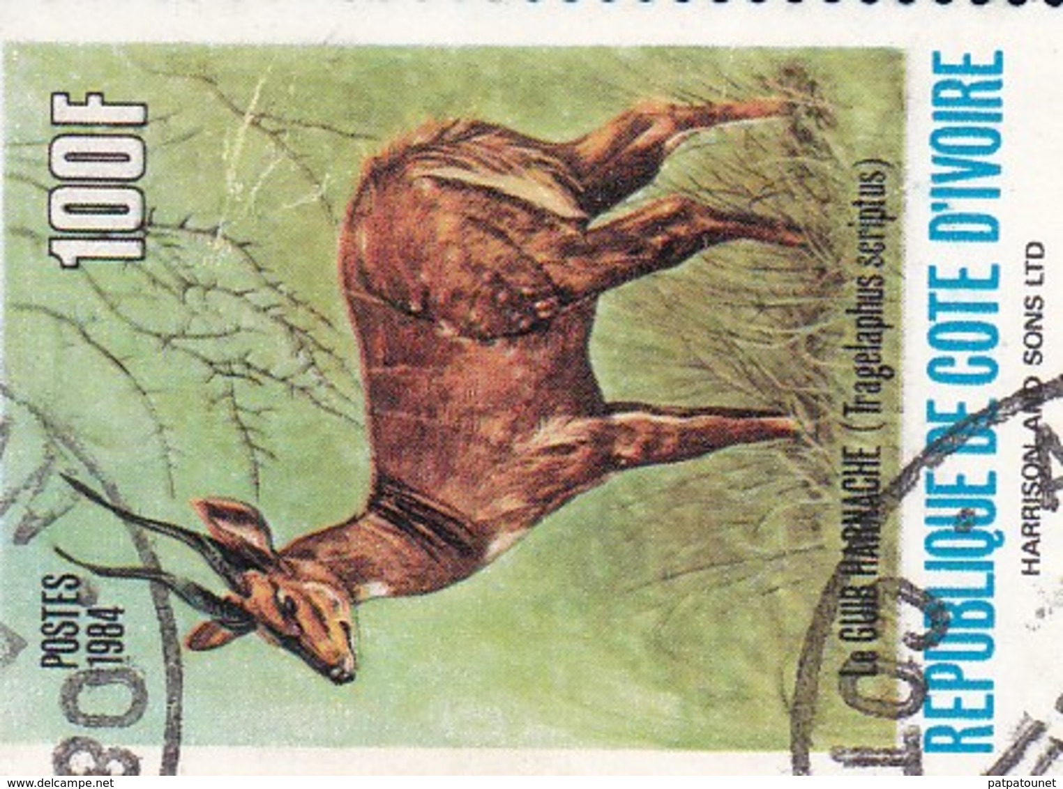 Cote D'Ivoire YV 667 O 1983 Gazelle - Gibier