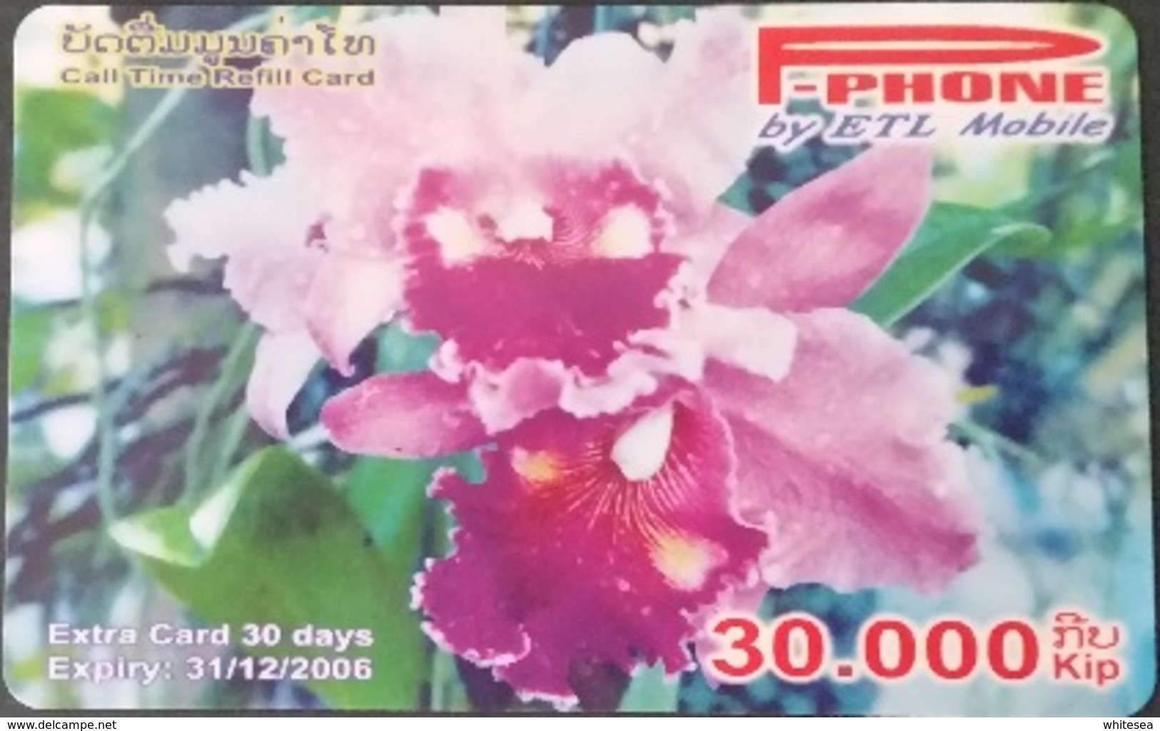 Mobilecard Laos - Blumen, Flowers - Orchidee,orchid (3) - Laos