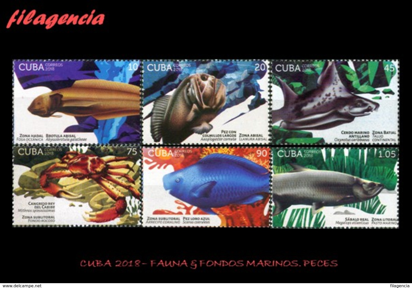 AMERICA. CUBA MINT. 2018 FAUNA & FONDOS MARINOS. PECES - Nuevos