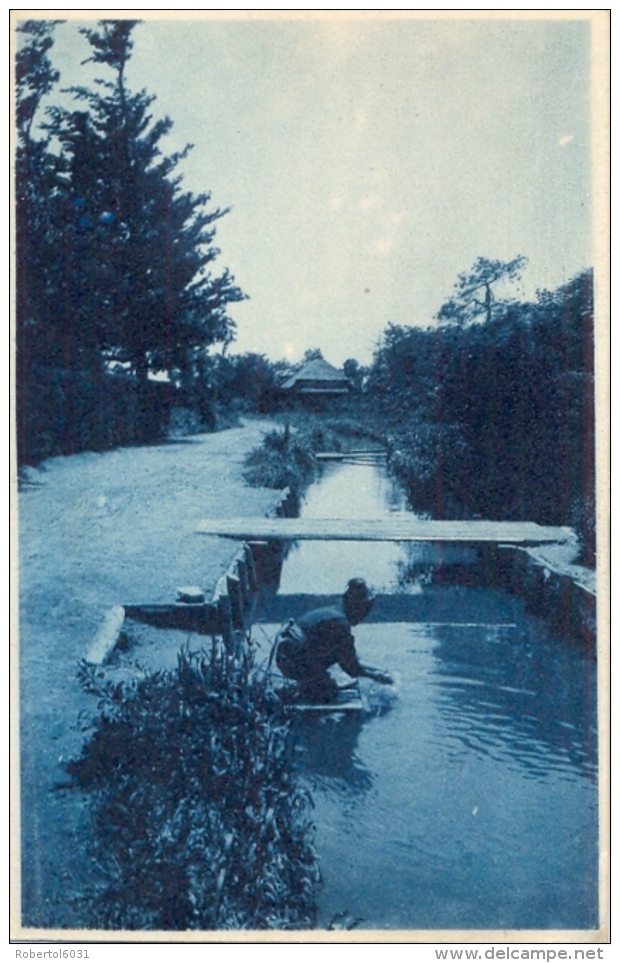 Japan Picture Postcard Woman Washing In A Canal - Paesani