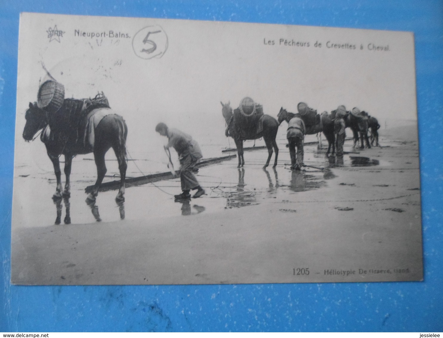 CPA ANIMEE - PLAGE NIEUPORT BAINS - LES PECHEURS DE CREVETTES A CHEVAL - Pesca