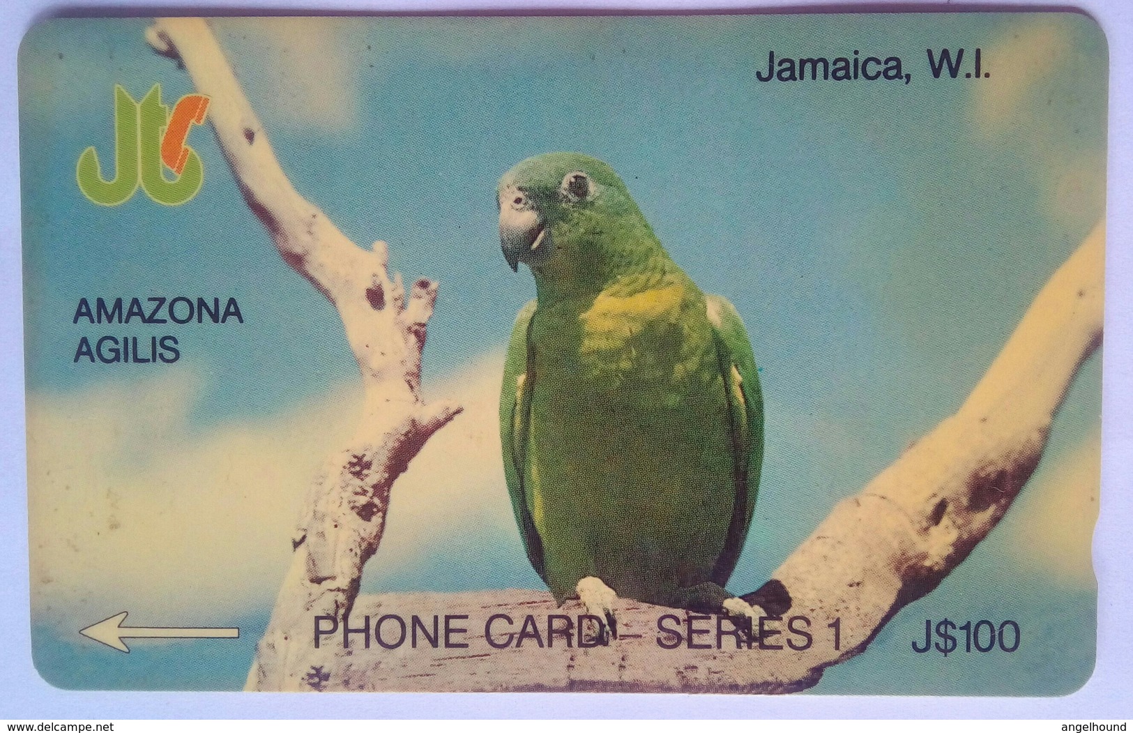 Jamaica  J$100  5JAMG Amazona Agilis " - Jamaica