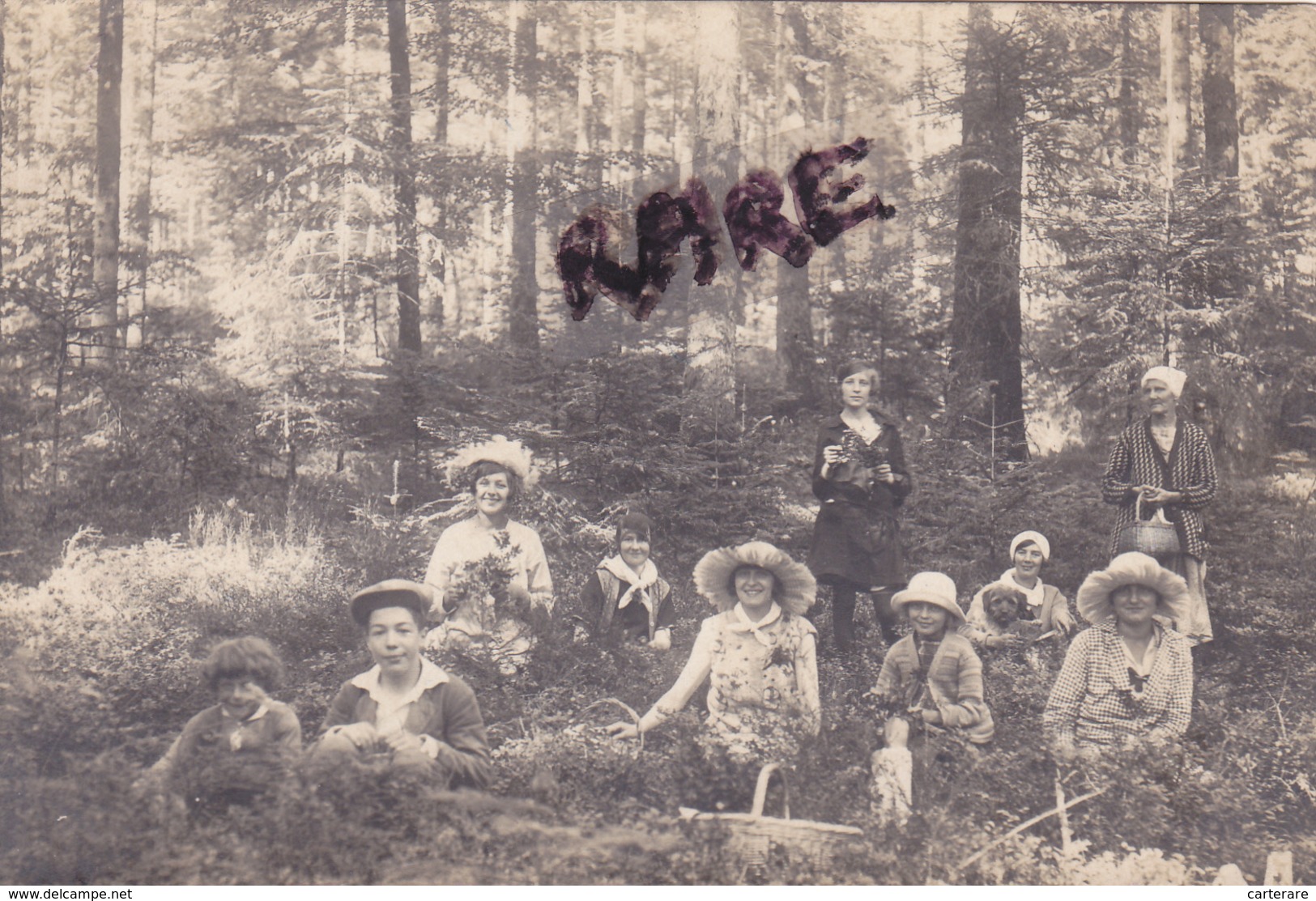 CARTE PHOTO,33,GIRONDE,BELIN,1912,HABITANTS DE L 'EPOQUE,PROMENADE DANS LES BOIS,ET CUEILLETTE DE CHAMPIGNONS,RARE - Andere & Zonder Classificatie