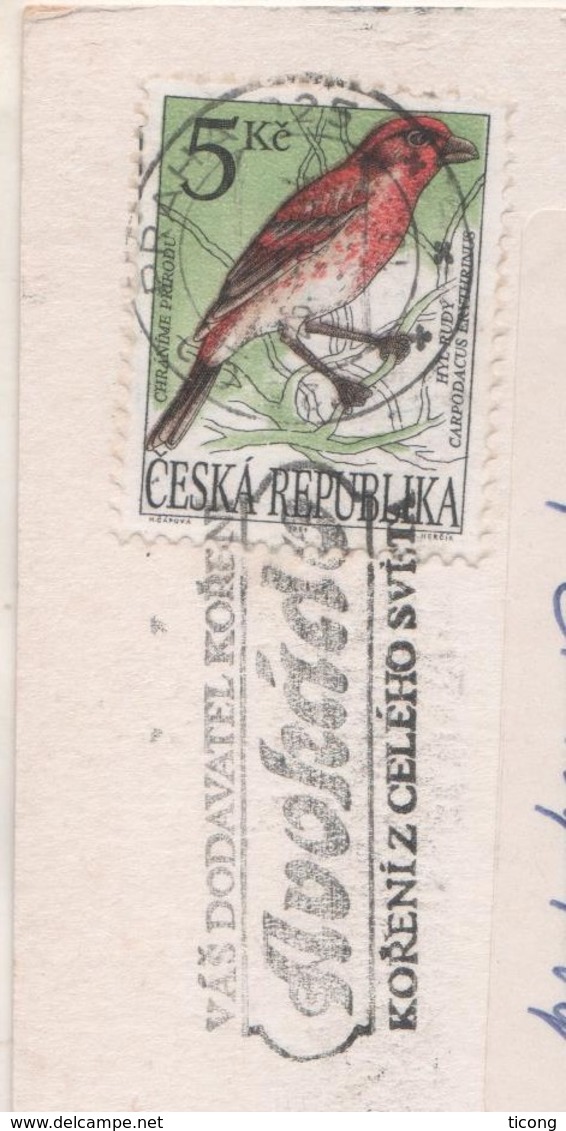 THEQUIE OISEAU CHRANIME PRIRODU SUR CARTE PRAGUE POUR LE FRANCE, BELLE FLAMME - VOIR LES SCANNERS - Lettres & Documents