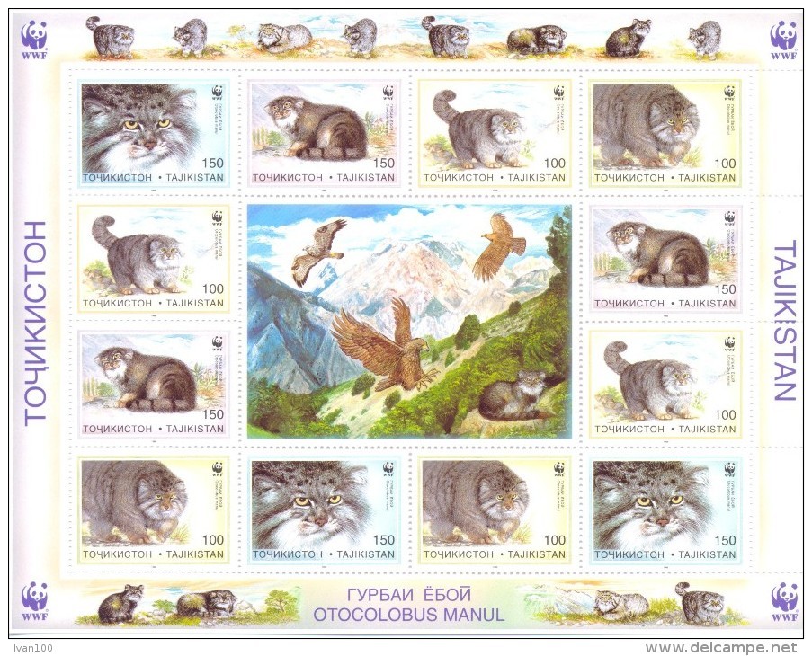 1996. Tajikistan, WWF, Wild Cats, Sheetlet, Mint/** - Tajikistan