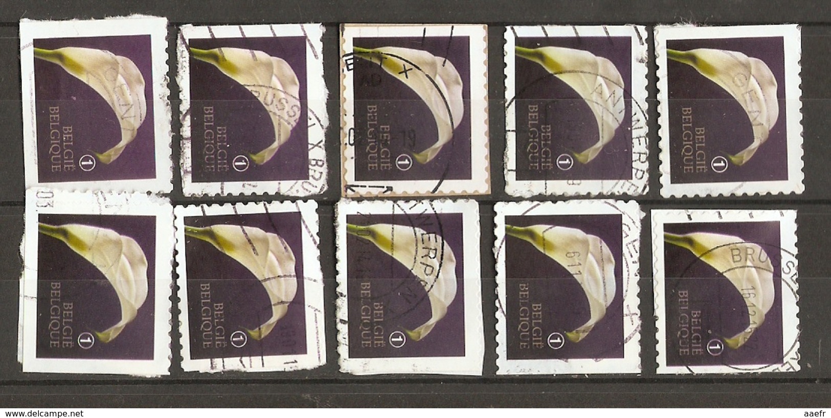 Belgique 2013 - Condoléances - Arum - Série Complète De Carnet S/ Fragment - Petit Lot De 10° - 4 Timbres Différents - Oblitérés