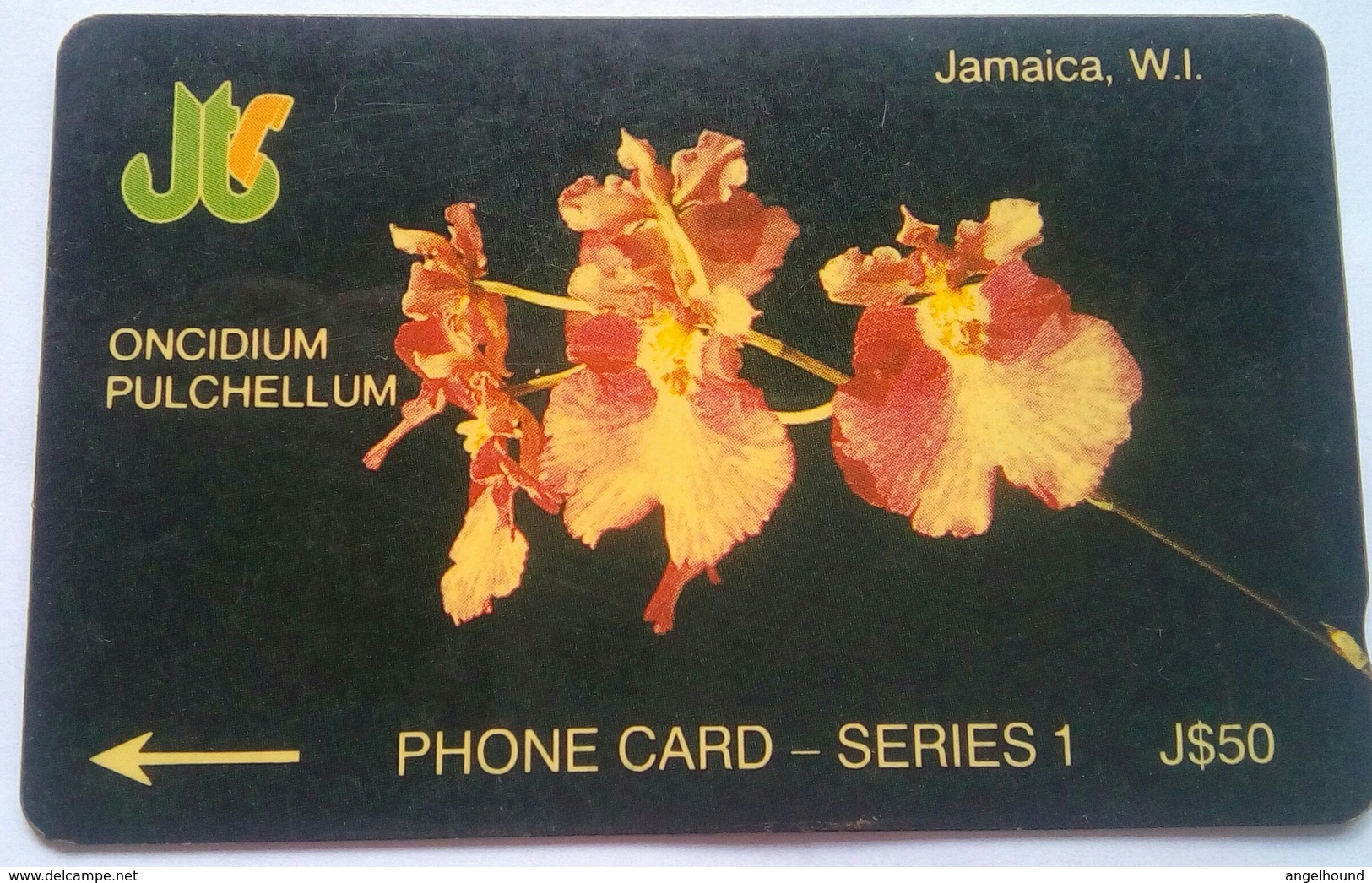 11JAMA Orchids J$50 - Jamaica