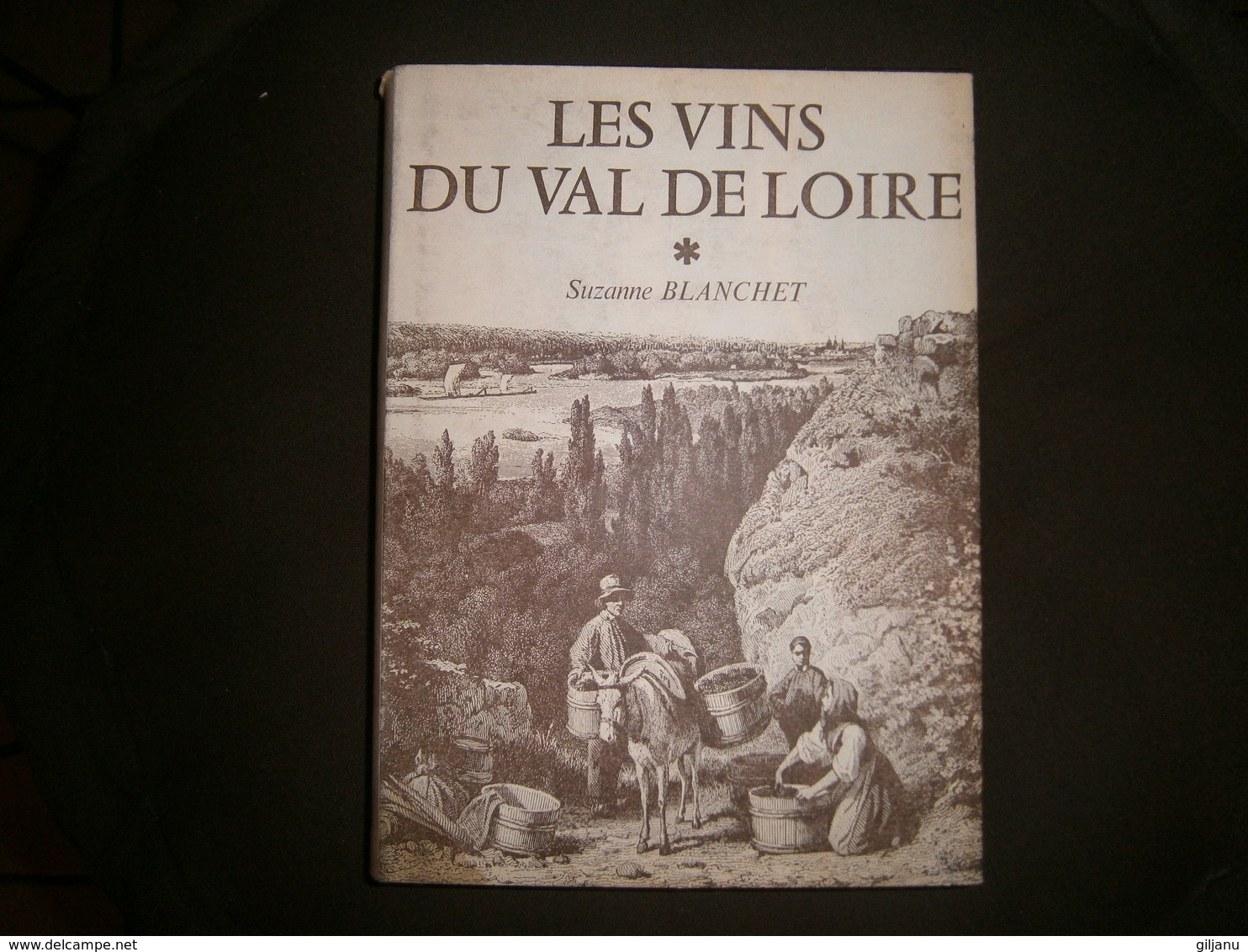 LES VINS DU VAL DE LOIRE PAR SUZANNE BLANCHET  ( Pays Nantais  Anjou Saumur Touraine ) 733 Pages Annee 1982 - Gastronomie