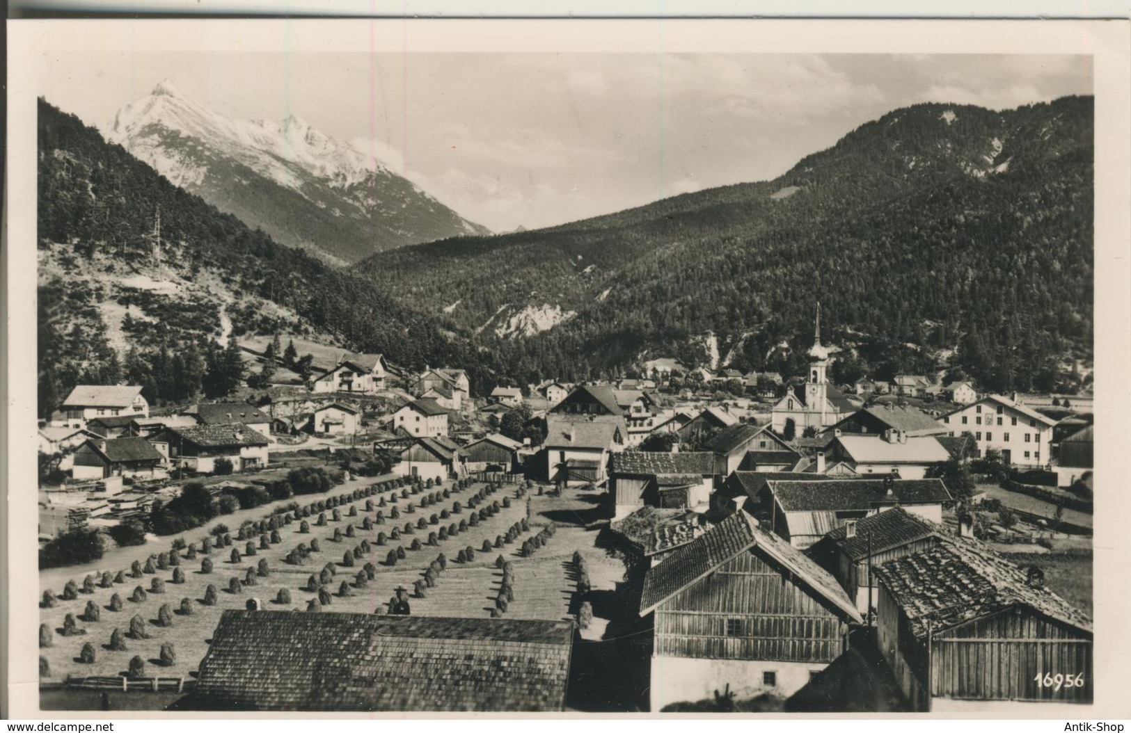 Scharnitz V. 1960  Teil-Dorf-Ansicht Mit Baum Allee  (1354) - Scharnitz