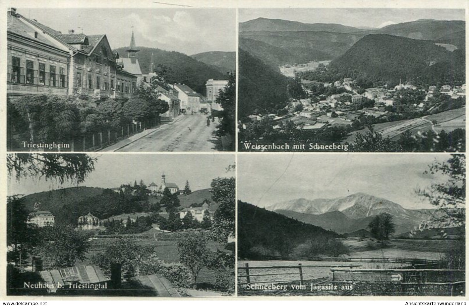 005523  Triestingheim, Neuhaus B. Triestingtal, Weissenbach Mit Schneeberg, Schneeberg Vom Jagasitz Aus - Schneeberggebiet