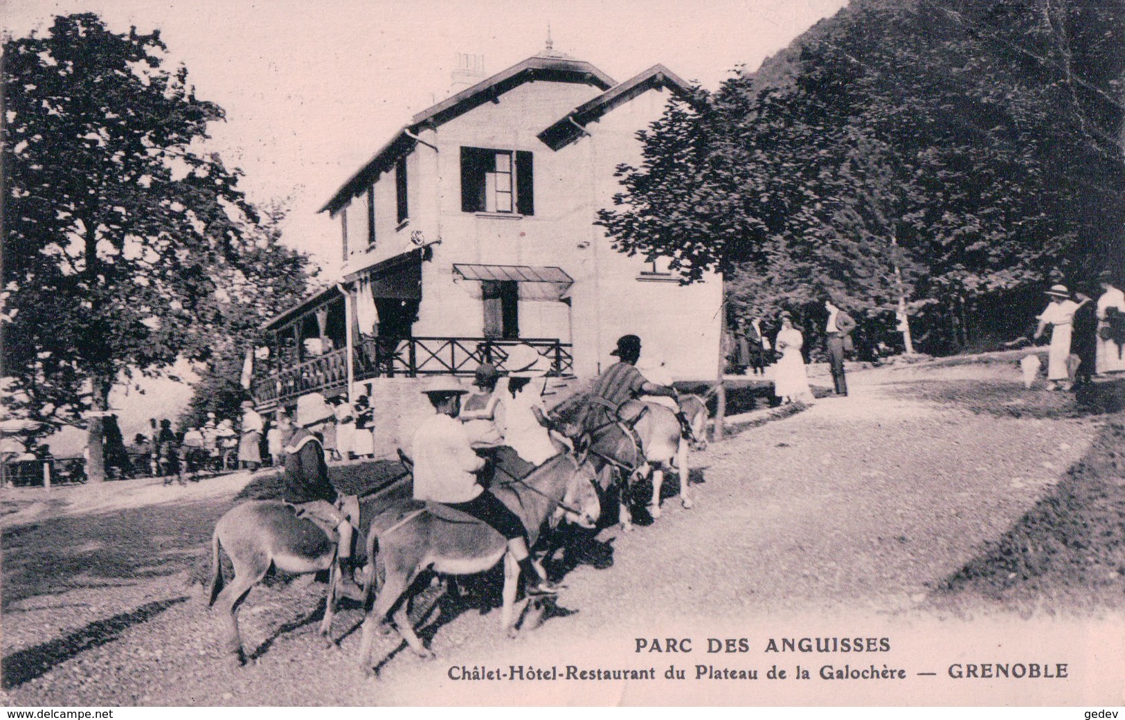 France 38, Parc Des Anguisses, Hôtel De La Galochère, Transport à Dos D'Ânes + Timbres Taxe Suisse 20ct (15.7.24) Plis - Grenoble