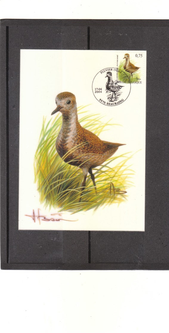 Carte Buzin - 3269 Pluvier Doré - 1985-.. Vögel (Buzin)