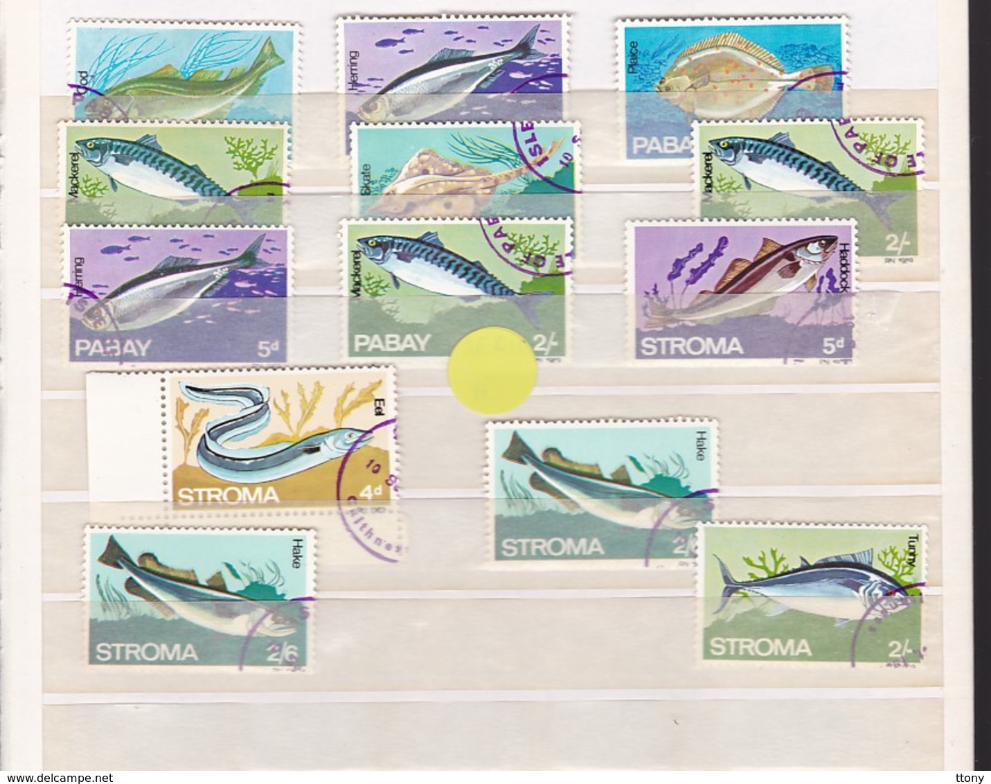 Un Ensemble De 13 Timbres Type Poissons Et  Staffa   - Stroma - Pabay  Scotland - Fishes