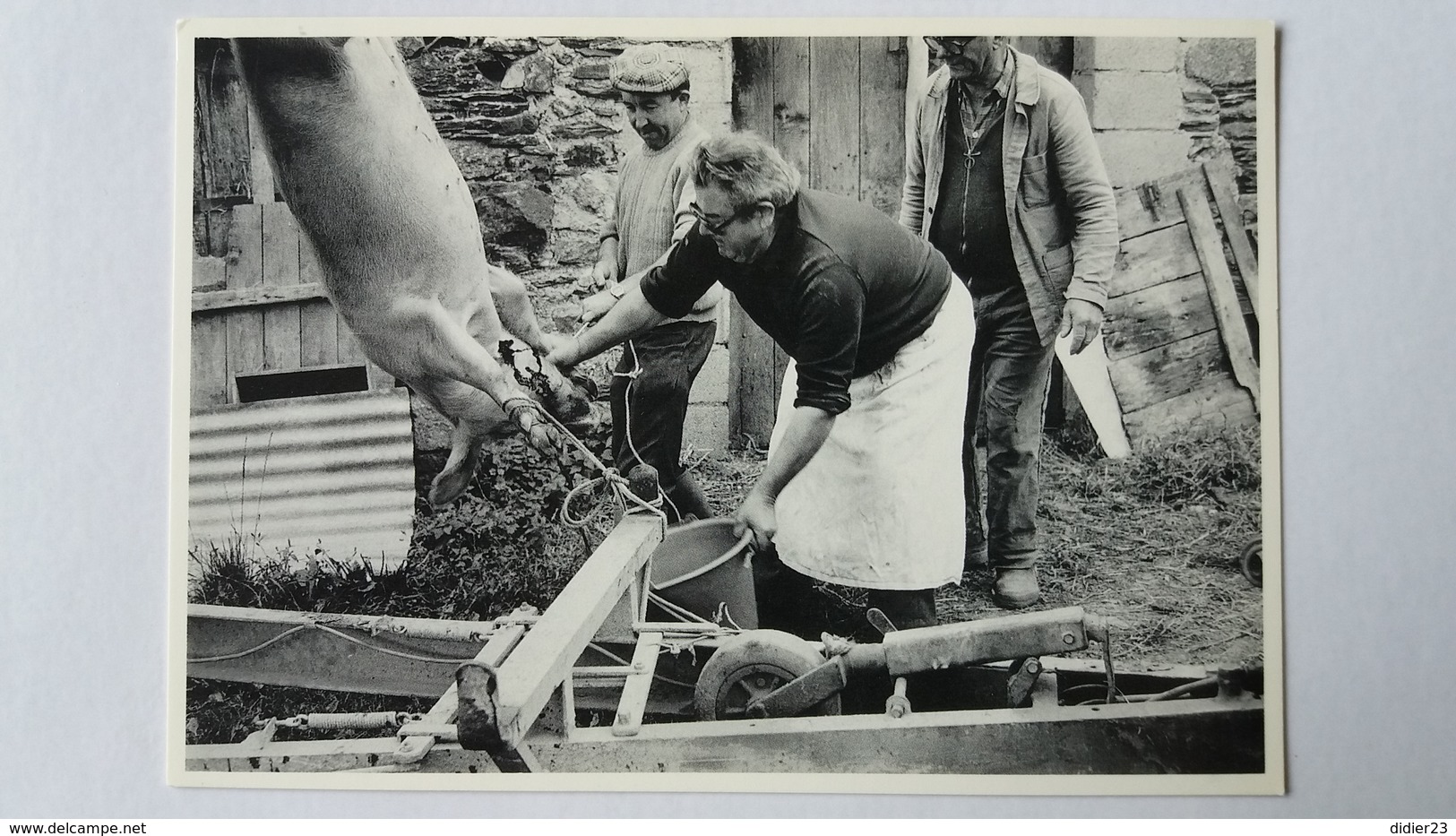 Plénée-Jugon - Pascal Martin PHOTOGRAPHE 3/6  - LOUIS DUCHENE LA MORT DU COCHON - BOUCHER DE CAMPAGNE 1986 - Plénée-Jugon