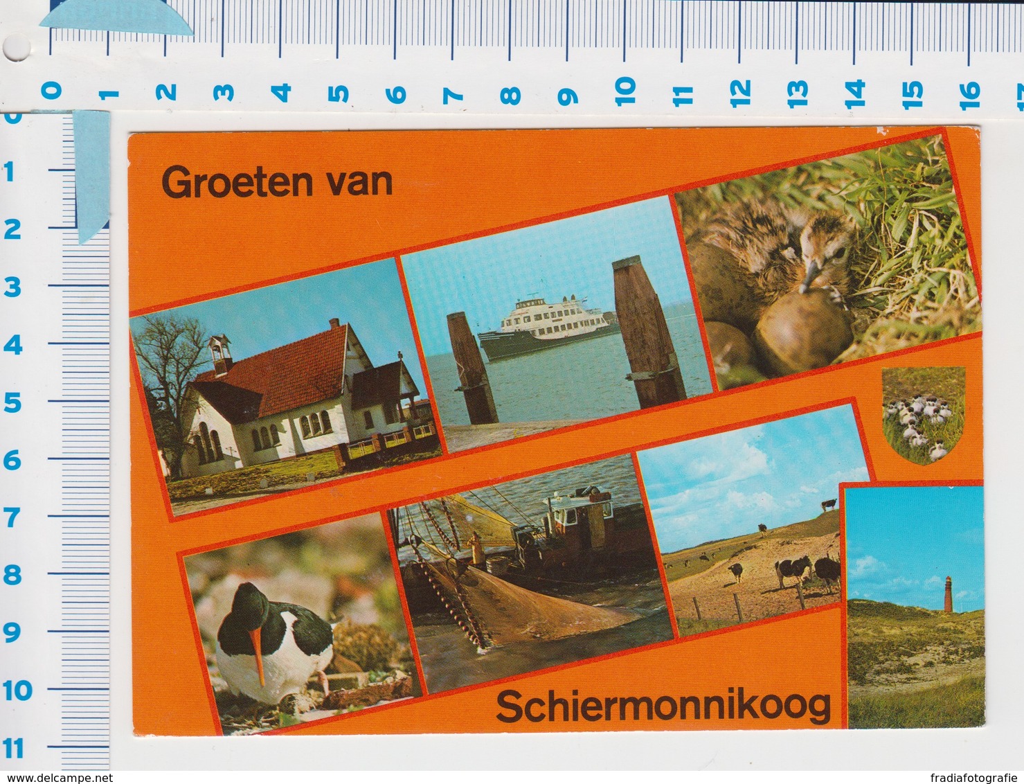 Schiermonnikoog - Waddeneilanden - 8 Views - 1 Kaart ( 1 ) - Schiermonnikoog