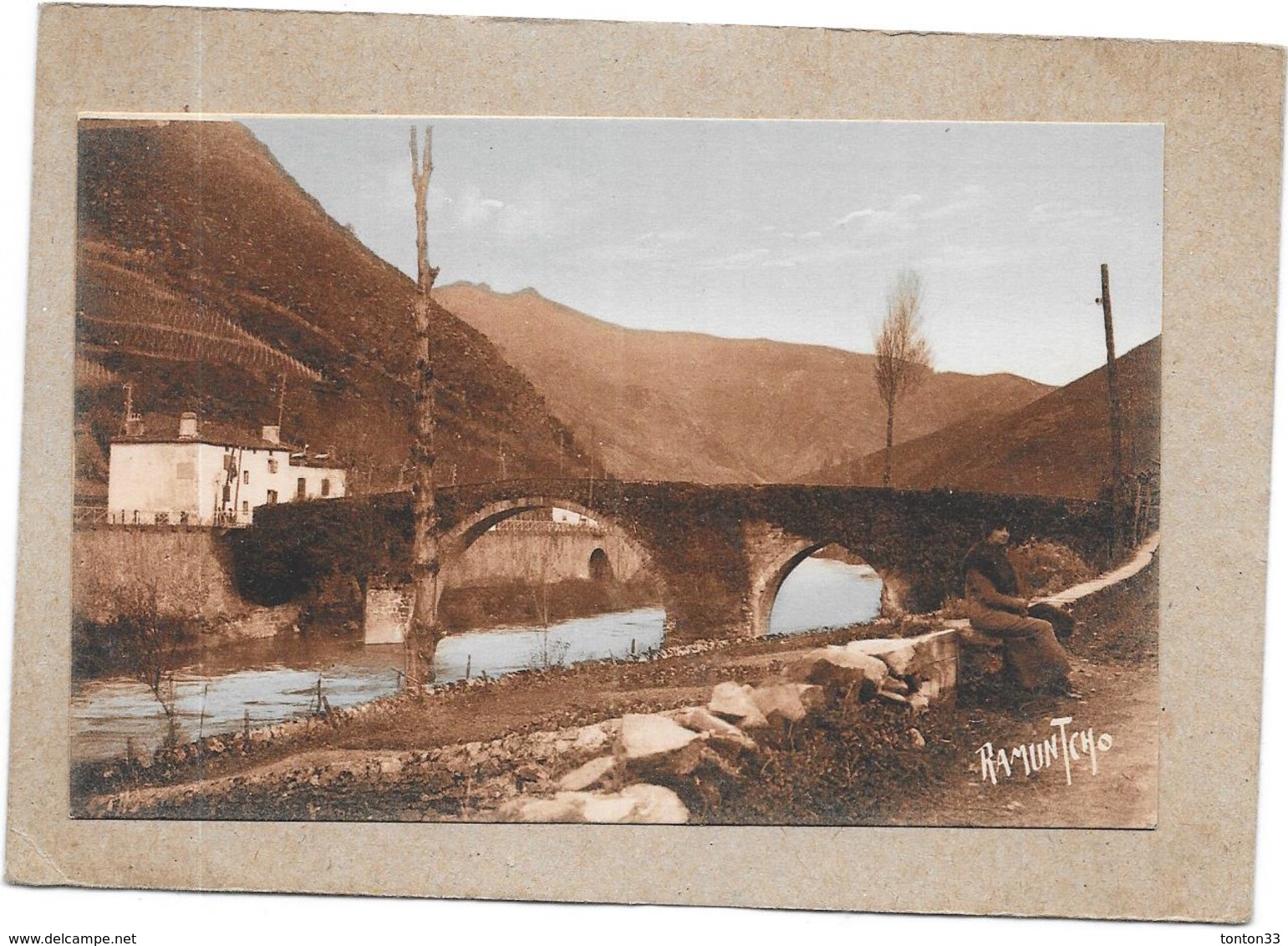DEPT 64 - CPA COLORISEE - Le Pont De BIDARRAY - TON2 - - Bidarray