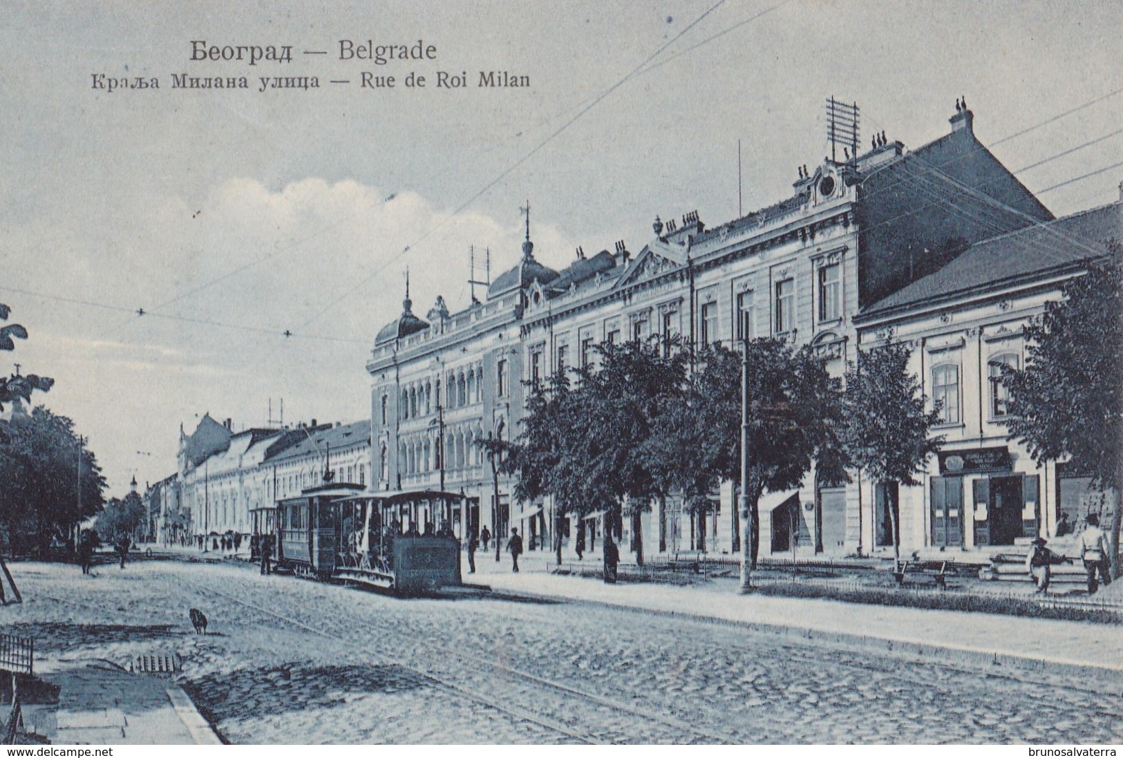 BELGRADE - Rue De Roi Milan - Serbie