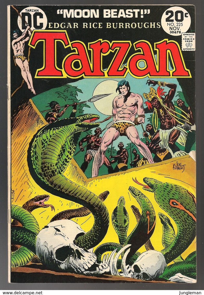 Tarzan Nr 225 - (In English) DC - National Periodical Publications. Inc. - November 1973 - Joe Kubert - BE - DC