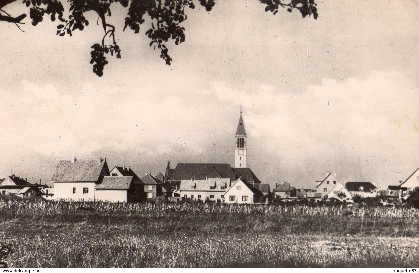 WITTELSHEIM -      1952   CPSM PF - Wittenheim