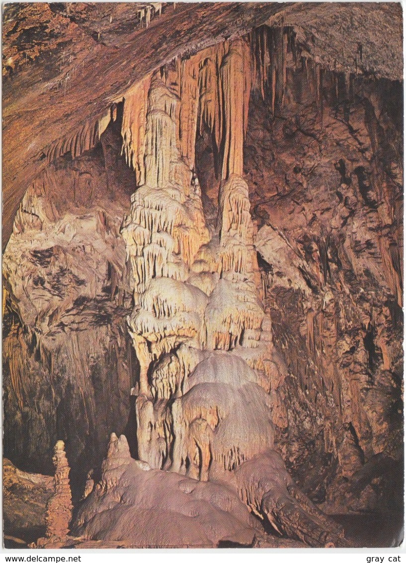 Slovenia, POSTOJNSKA JAMA, Caves, The Nice Gallery, Unused Postcard [21903] - Slovenië