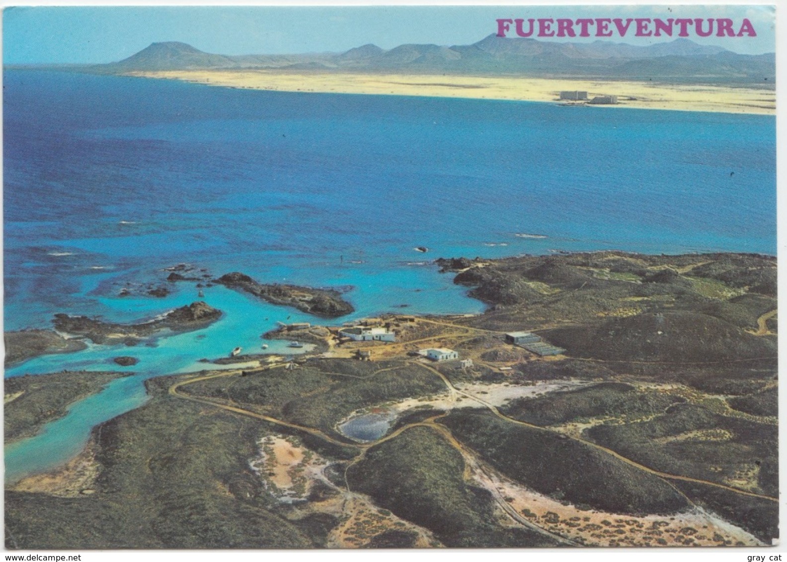 FUERTEVENTURA Island, Islas Canarias, Spain, 1982 Used Postcard [21917] - Fuerteventura