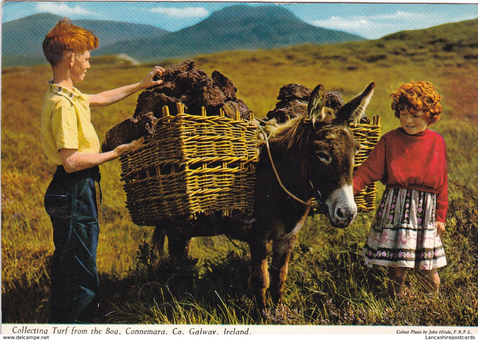 Postcard Collecting Turf From The Bog Connemara Co Galway Ireland PU 1971 By John Hinde [ Donkey ]  My Ref  B23159 - Galway