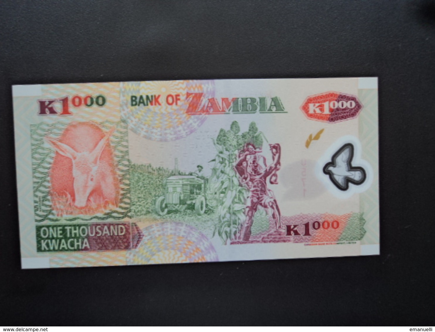 ZAMBIE : 1000 KWACHA  2003   P 44a     NEUF - Zambie