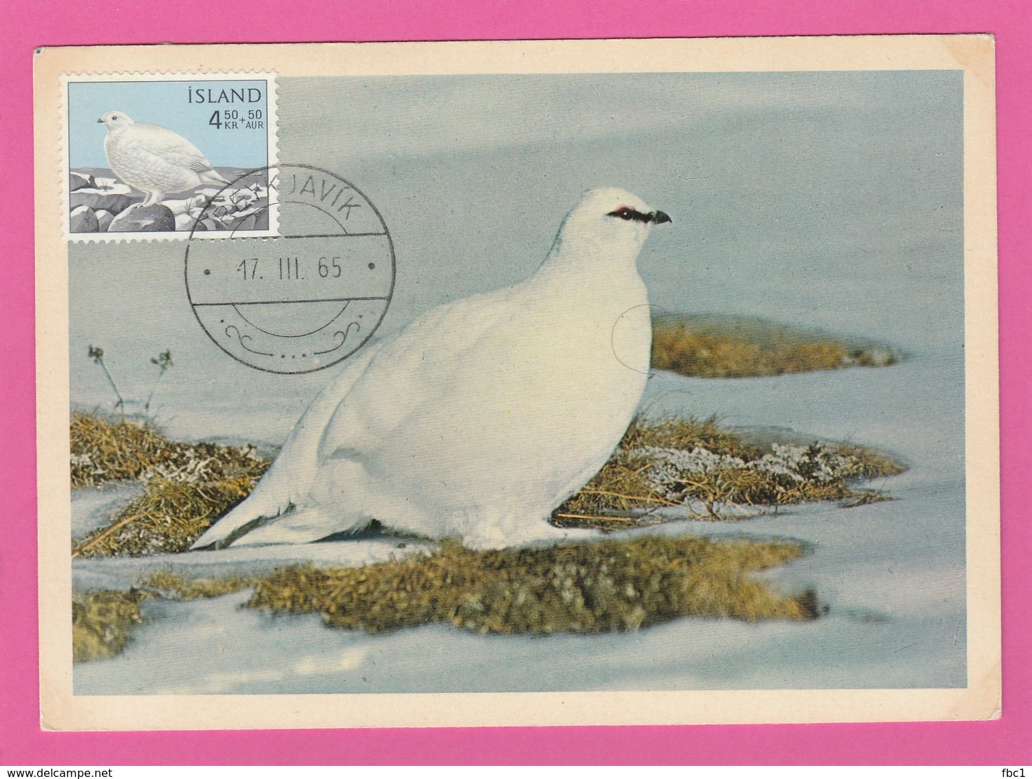 Carte Maximum - Oiseaux - Islande - Lagopède - (1965) - Autres & Non Classés