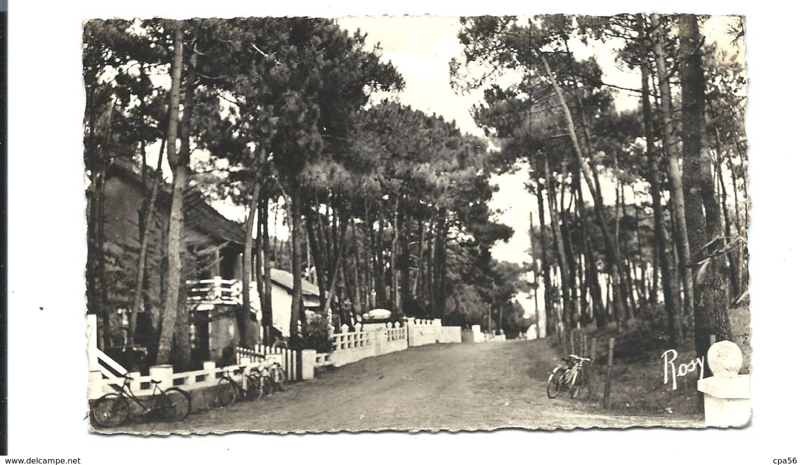 QUIMIAC En MESQUER - Avenue Dans Les Bois - Villas - 1950 - Mesquer Quimiac