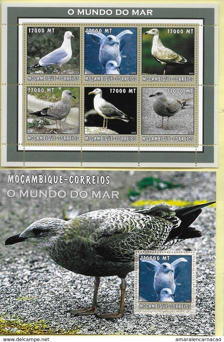 TIMBRES- STAMPS- SELLOS - MOZAMBIQUE / MOÇAMBIQUE -2002- LE MONDE DE LA MER - ALBATROS -SÉRIE TIMBRES ET BLOC NEUFS- MNH - Albatros