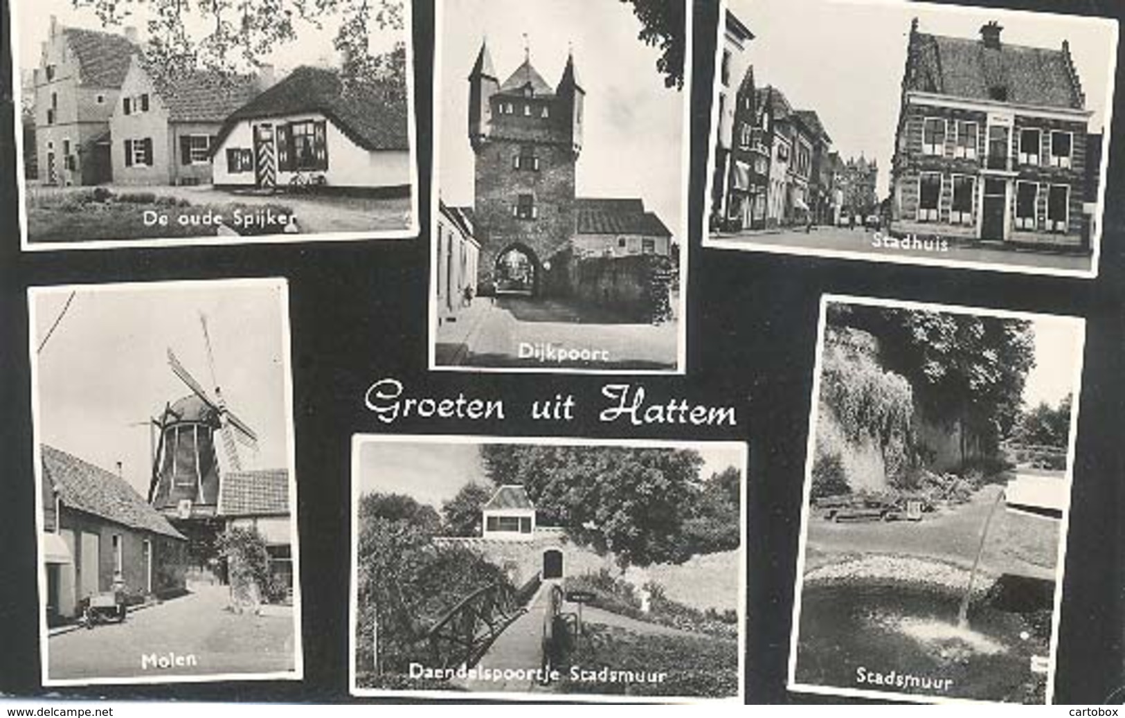 Hattem, Groeten Uit Hattem   (type Fotokaart) - Hattem