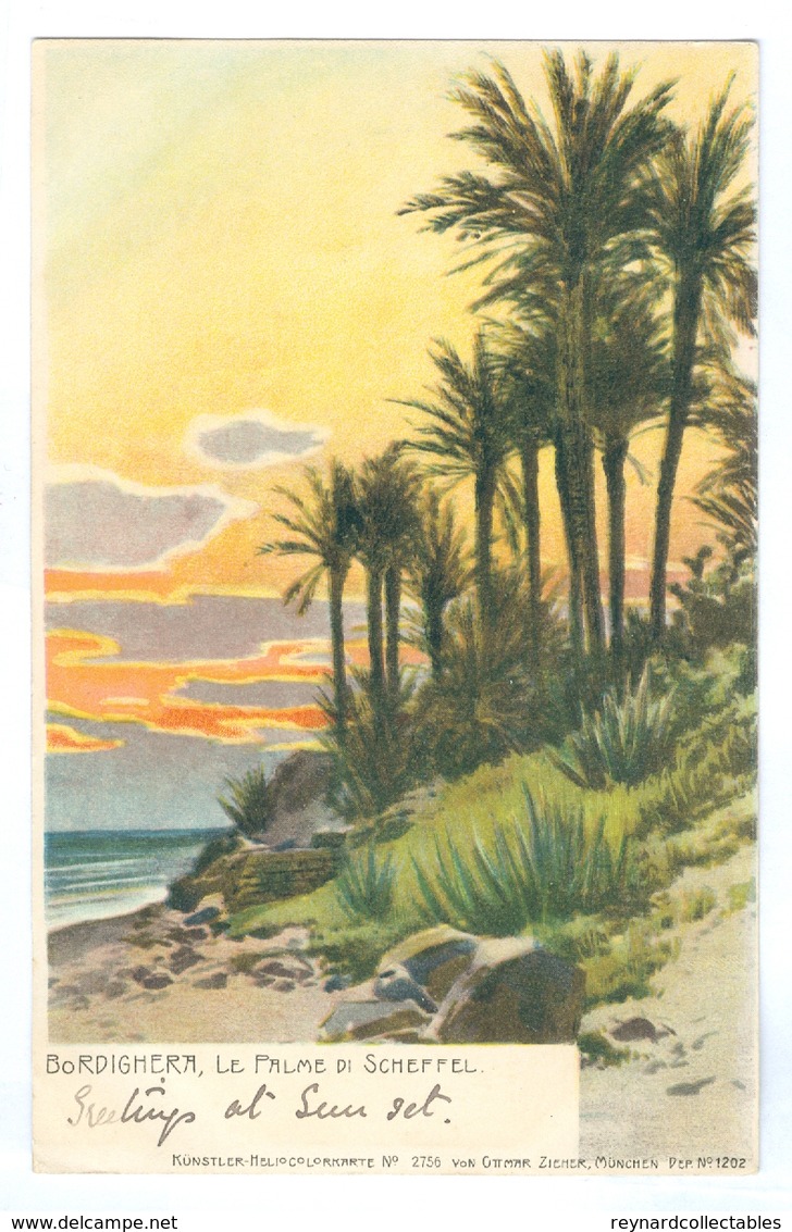 1900's Italy, Bordighera, Le Palme Di Scheffel. Printed Art Pc, Used. - Imperia