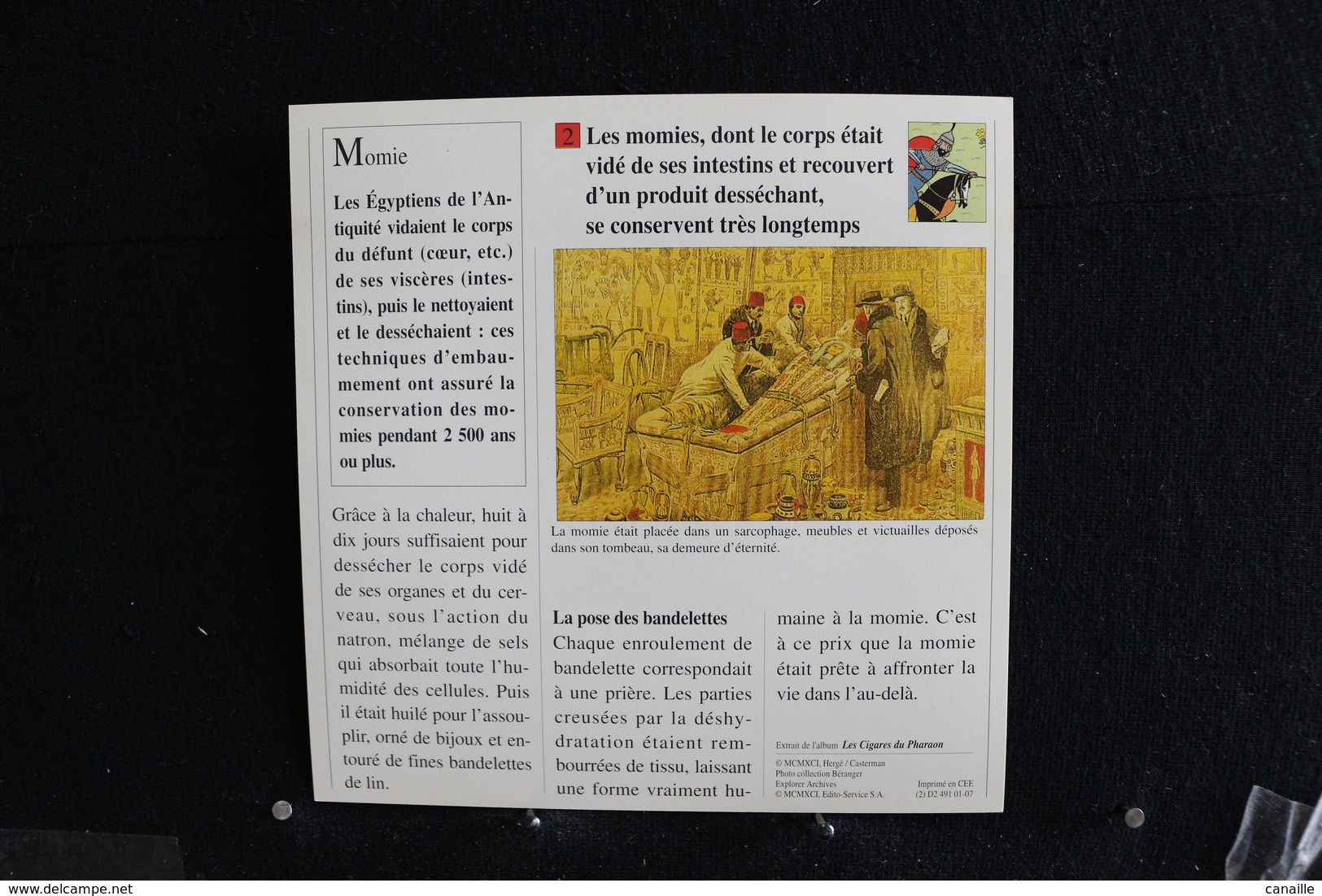 Fiche Atlas, TINTIN (extrait De, Les Cigares Du Phareon) - Histoire N°15. Pourquoi Les Momies Se Conservent-elles ?L - Collezioni