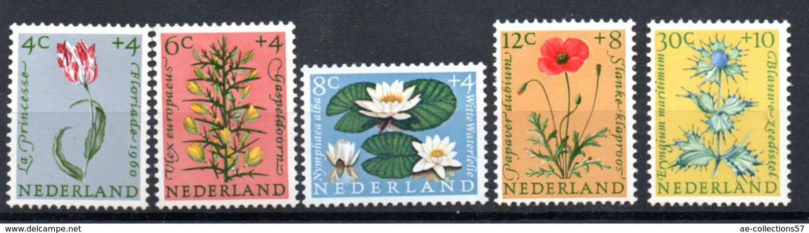 Pays Bas  / Série  N 719 à 723  /    NEUFS ** - Unused Stamps