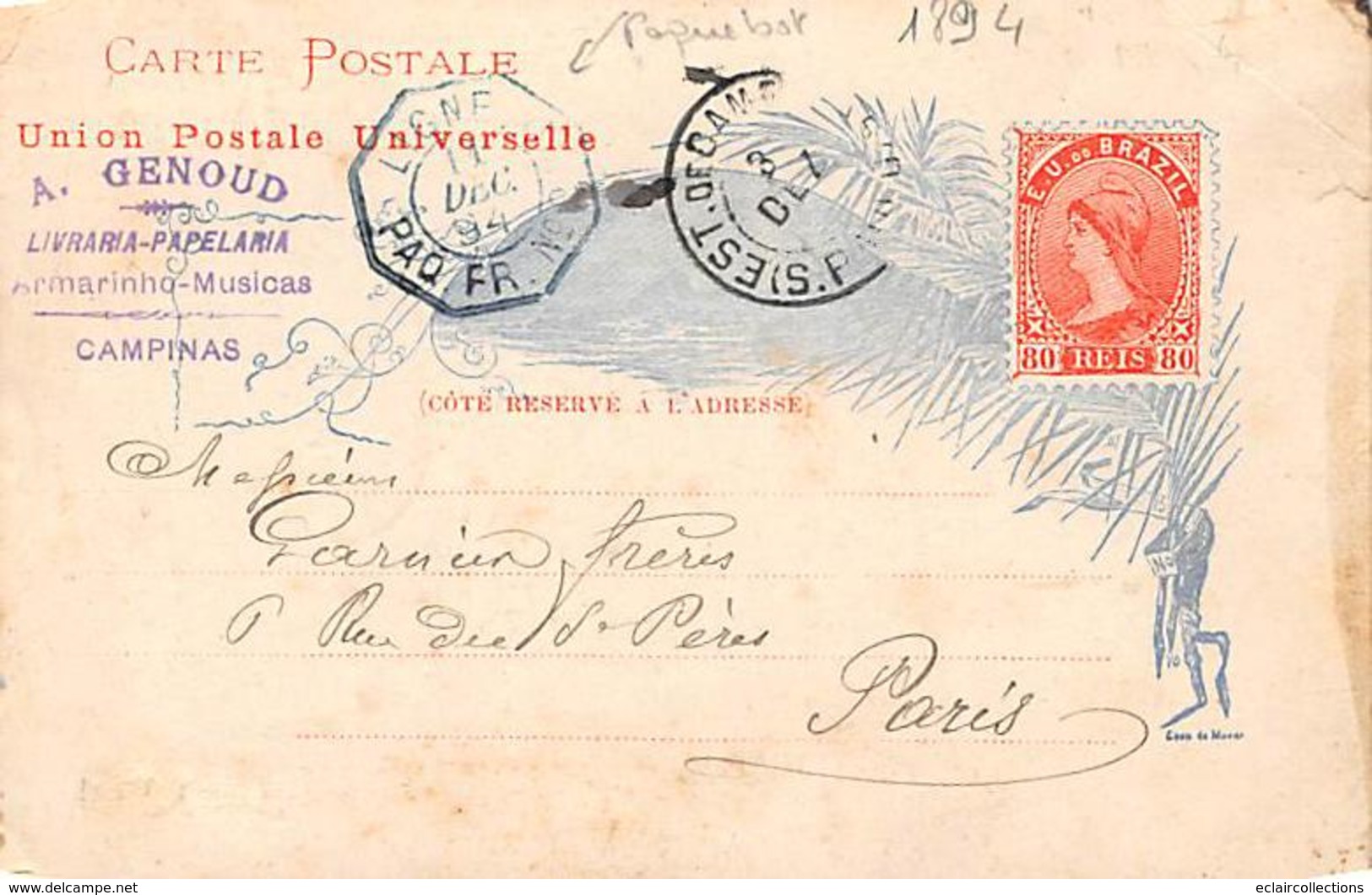 Brazil. Brésil.   Rio De Janeiro    Voyagée En 1894   Cachet De Paquebot   Rare  ( Coin écorné Voir Scan) - Rio De Janeiro