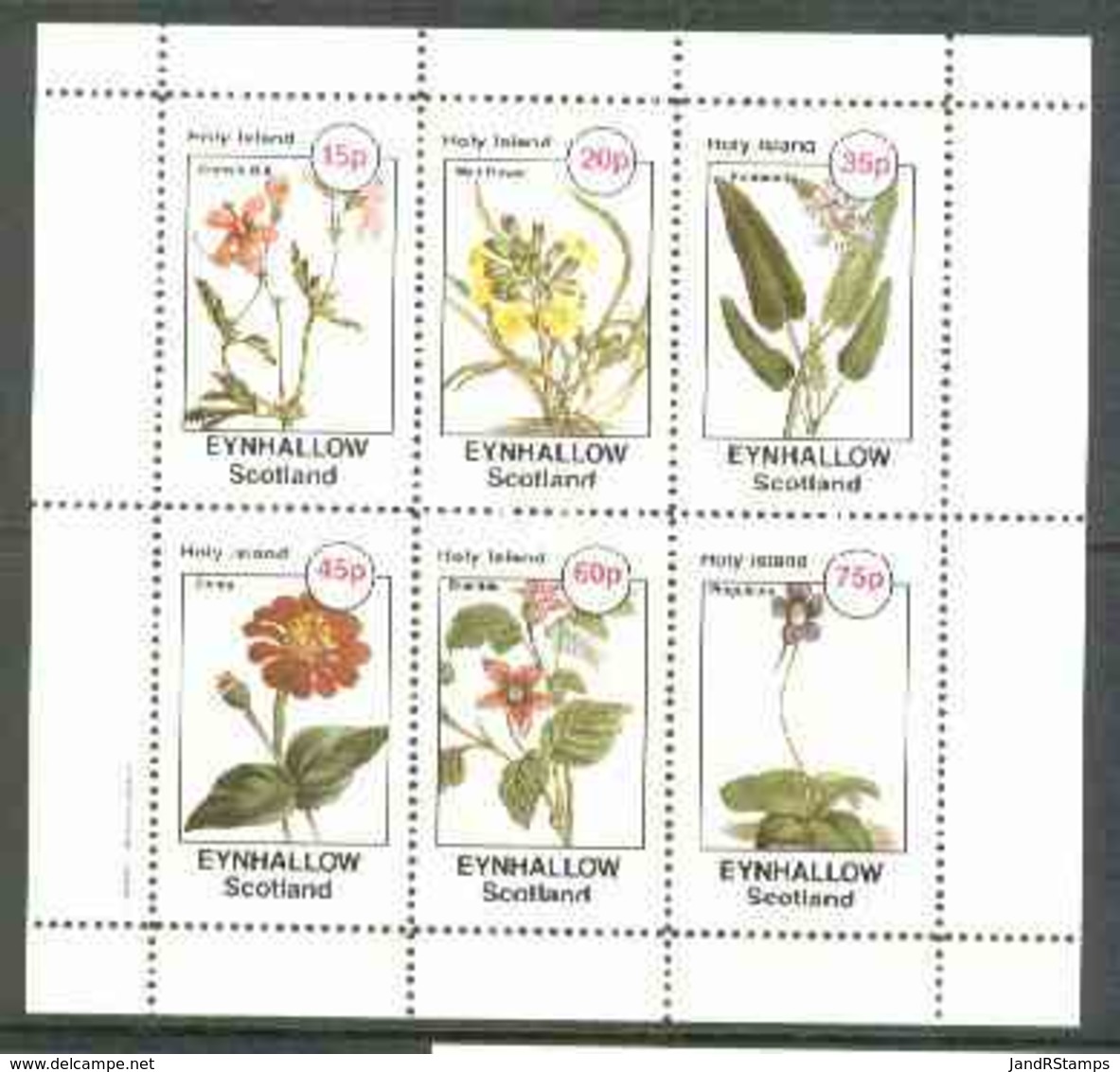 Eynhallow 1982 Flowers #27 (Crane's Bill, Wall-Flower, Pontederia, Zinnia, Bramble & Pinguicula) Perf Set Of 6 Values Un - Local Issues