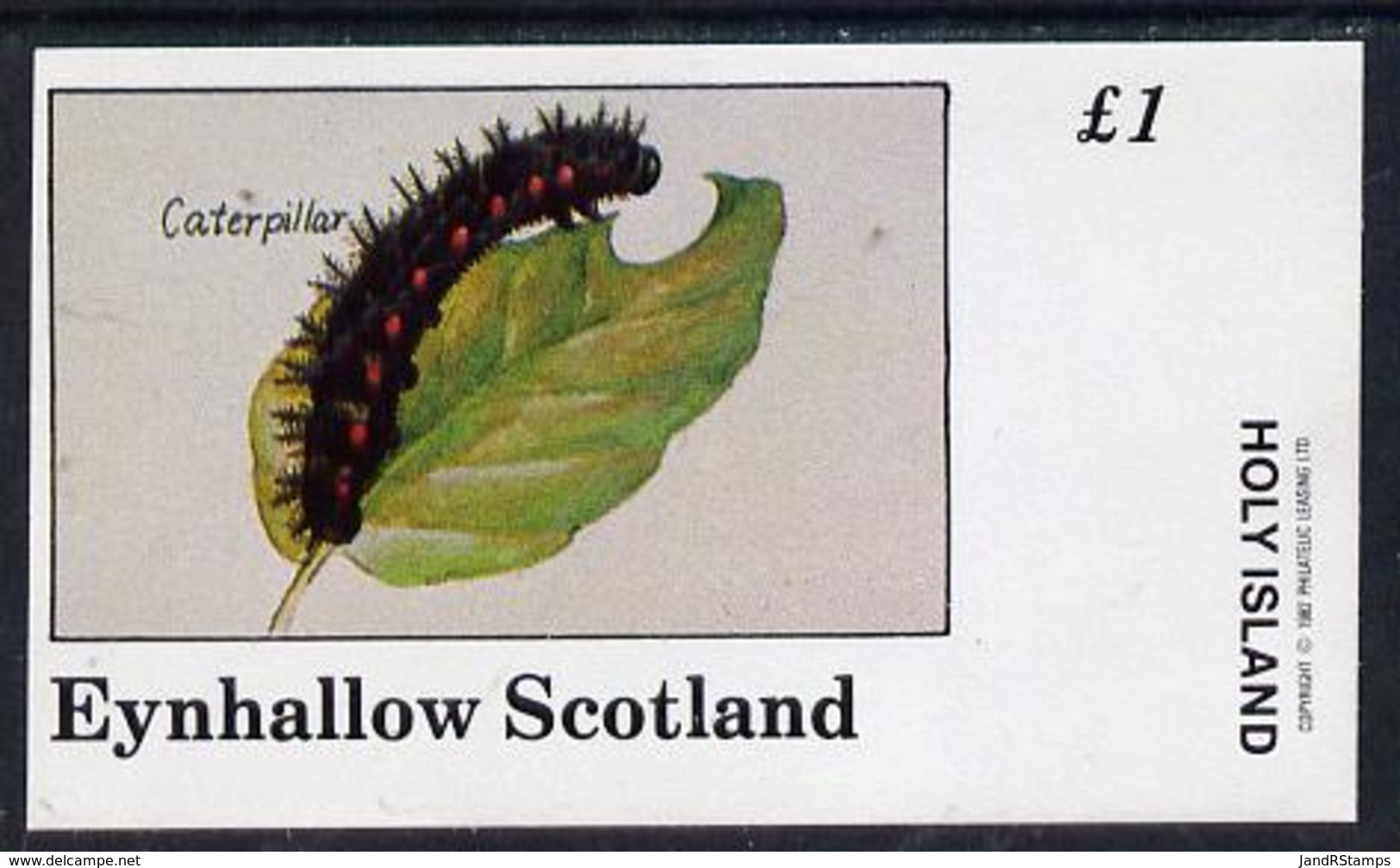 Eynhallow 1982 Insects (Caterpillar) Imperf Souvenir Sheet (�1 Value) Unmounted Mint - Ortsausgaben