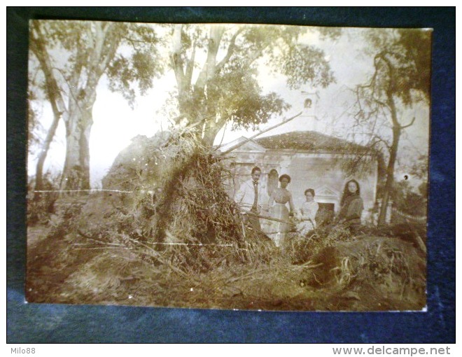 VENETO -VICENZA -BELVEDERE DI TEZZE (foto) 1903 -F.P. - Vicenza