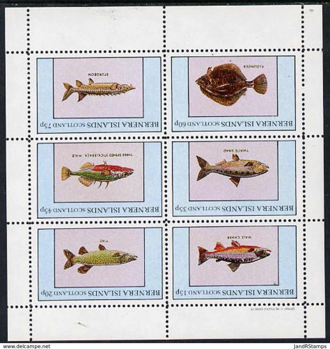 Bernera 1982 Fish (Char, Pike, Sturgeon, Flounder Etc) Perf Set Of 6 Values (15p To 75p) Unmounted Mint MARINE-LIFE - Local Issues