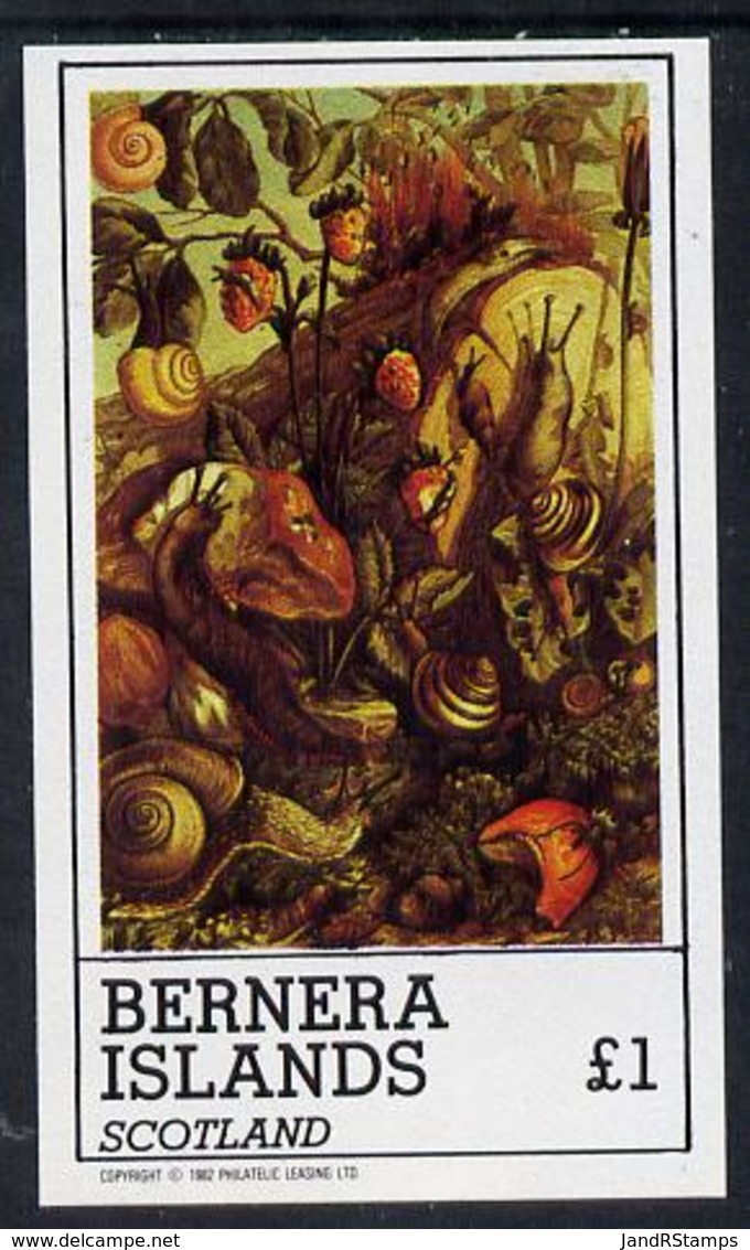 Bernera 1982 Nature Table (Snails, Fungi, Strawberries) Imperf Souvenir Sheet (�1 Value) Unmounted Mint FUNGI    FRUIT - Local Issues