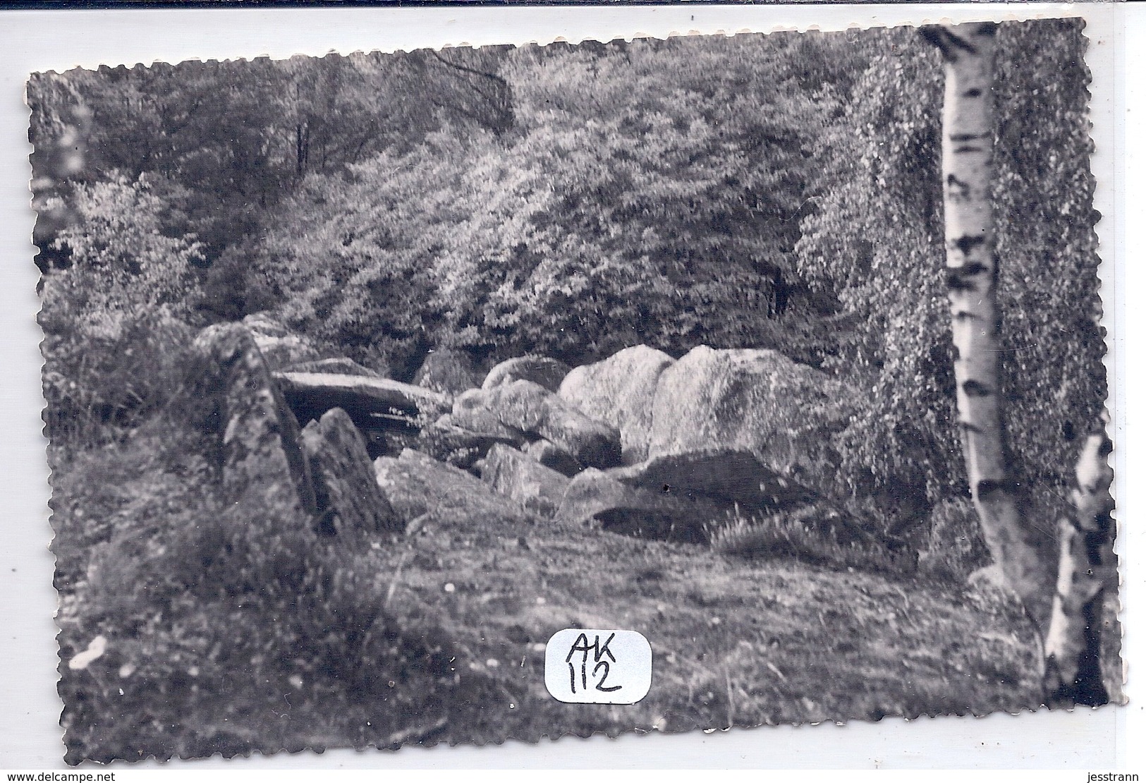 VIDELLES- LES ROCHERS DANS LA FORET- 1955 - Autres & Non Classés